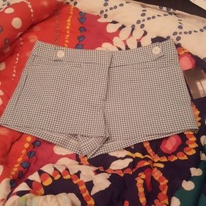Urban Outfitters. Blue Picnic Shorts.